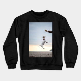 Jumping Jack Russel Terrier Crewneck Sweatshirt